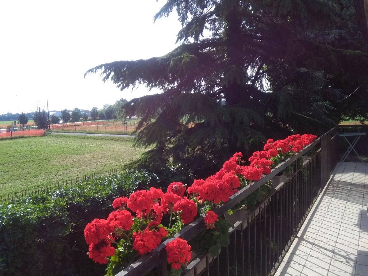 B&B Countryhouseanna Crema Exterior photo